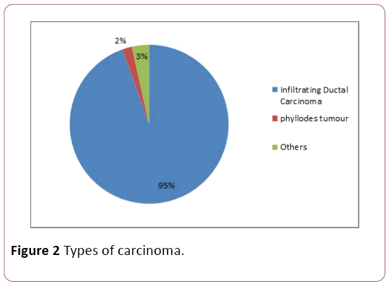 Demographic Profile and Prevalence of Comorbidities in Newly Diagnosed